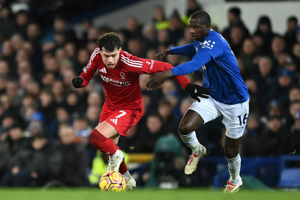 观赏体验 观赏体验