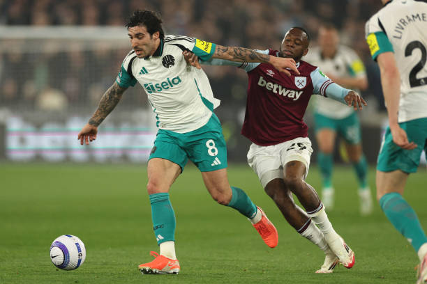 激烈的沙特 激烈的沙特